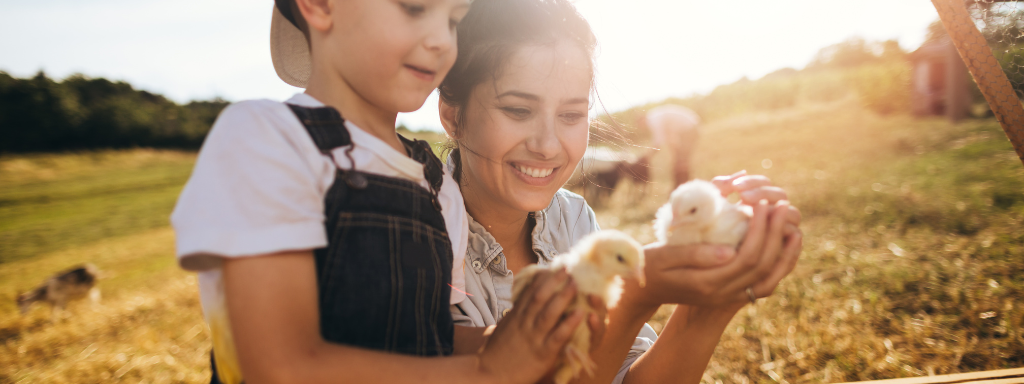 spring activities for kids - the photo shows a child and parent holding chicks